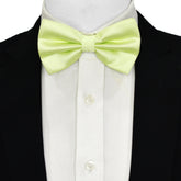 Silk Bow Tie | Light Green Bow Tie | Black Wolf